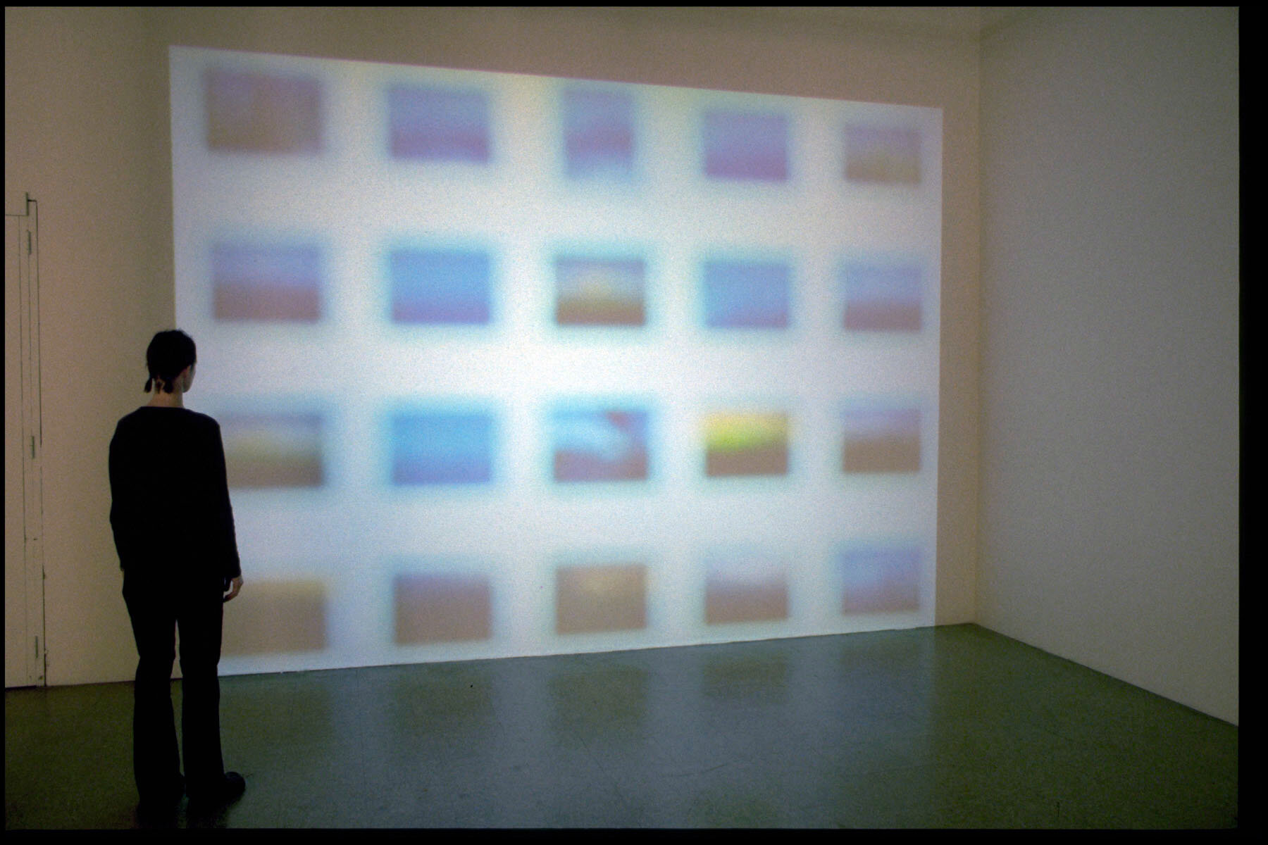   Similar/Same  exhibition   from animals to water everywhere , 1999, single channel VHS projection, 12:48 minute loop, silent, size variable 
