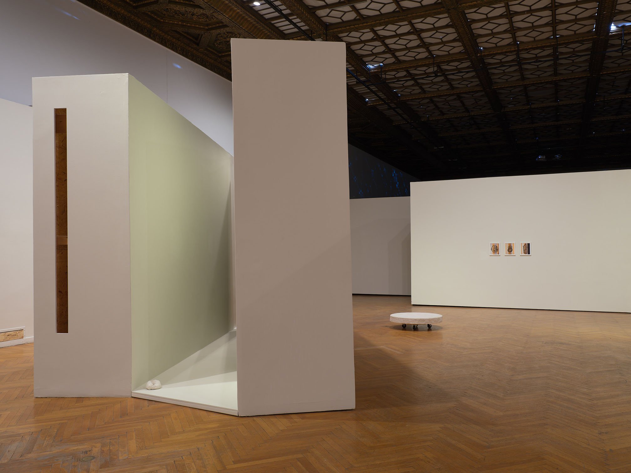   Into The Matter , installation view, 2018, altered moveable museum walls cut and joined, latex paint, MDF,  lumber, OSB sheathing, porcelain tube sock, hydrocal gypsum cement, muslin, foam, wood, casters, color laser prints. Photo credit: Phil Bond