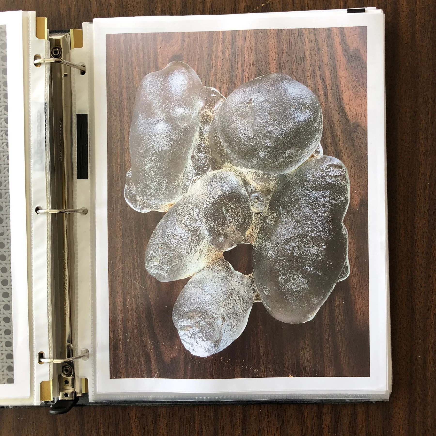 018_Binder.jpeg