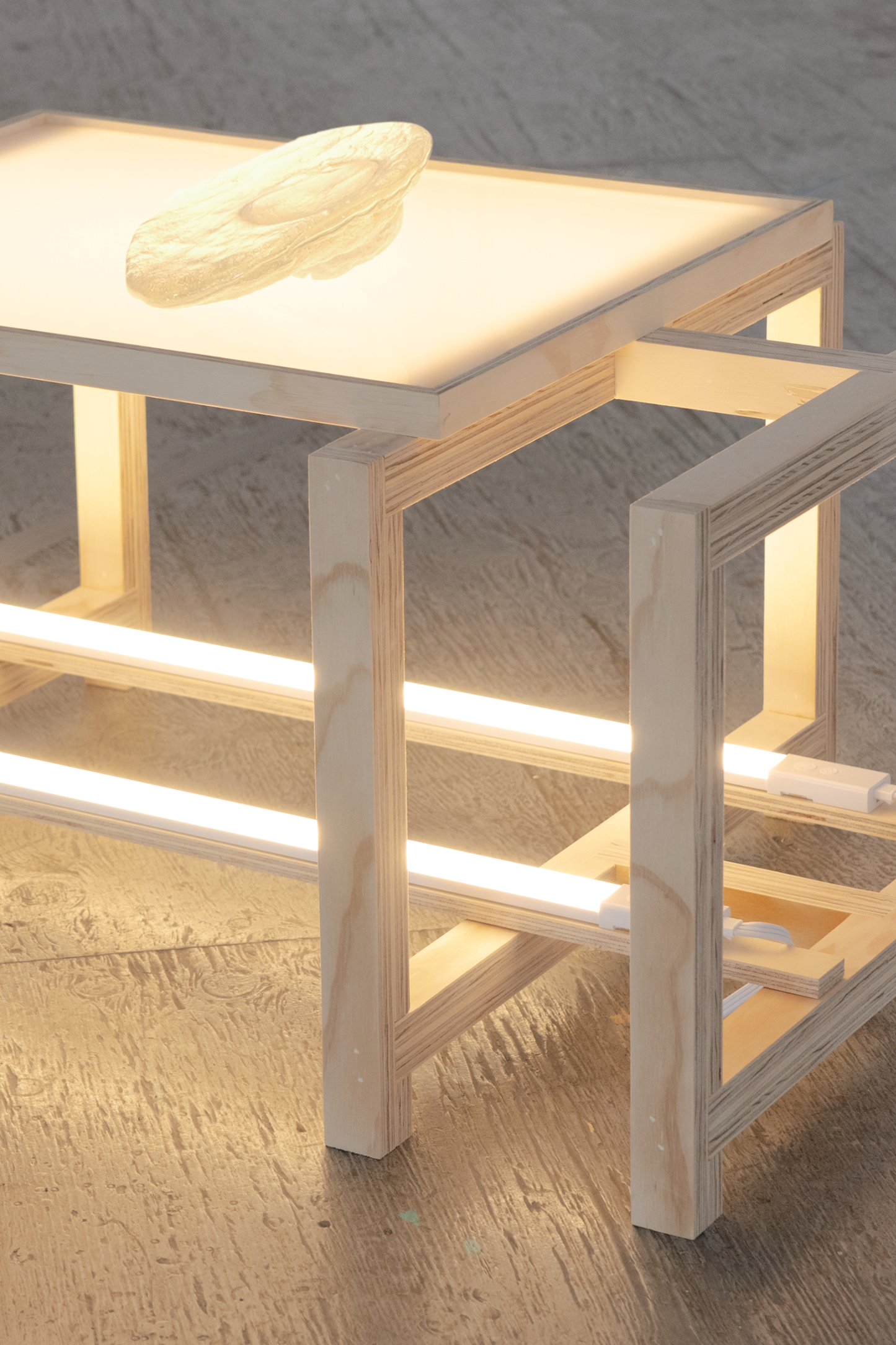 Gallery_16_R_W_S_v215.png