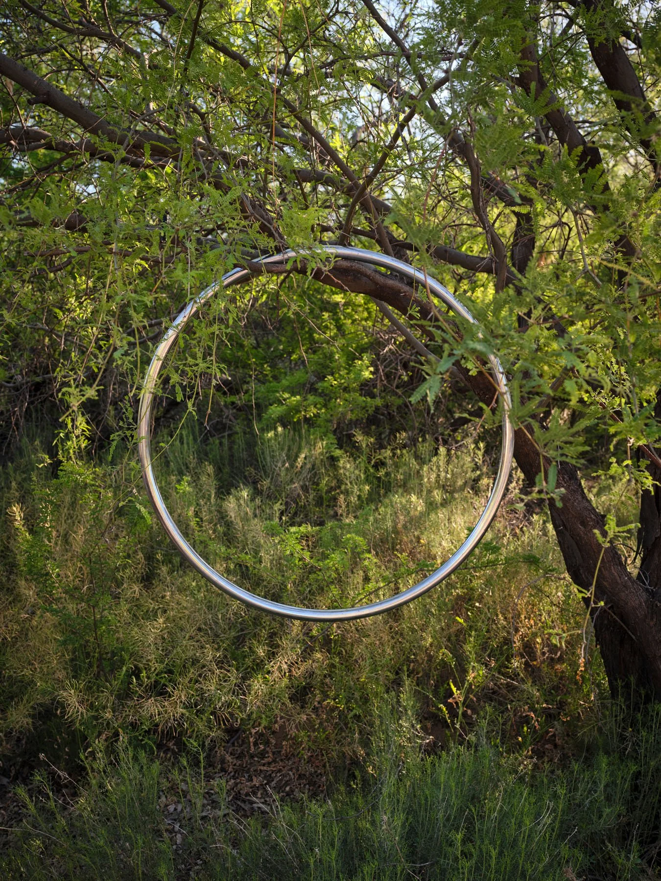 parallel_h(ear)_co_05.jpg