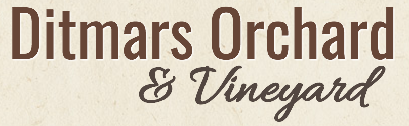 Fall Playdate and Picnic at Ditmar's Orchard