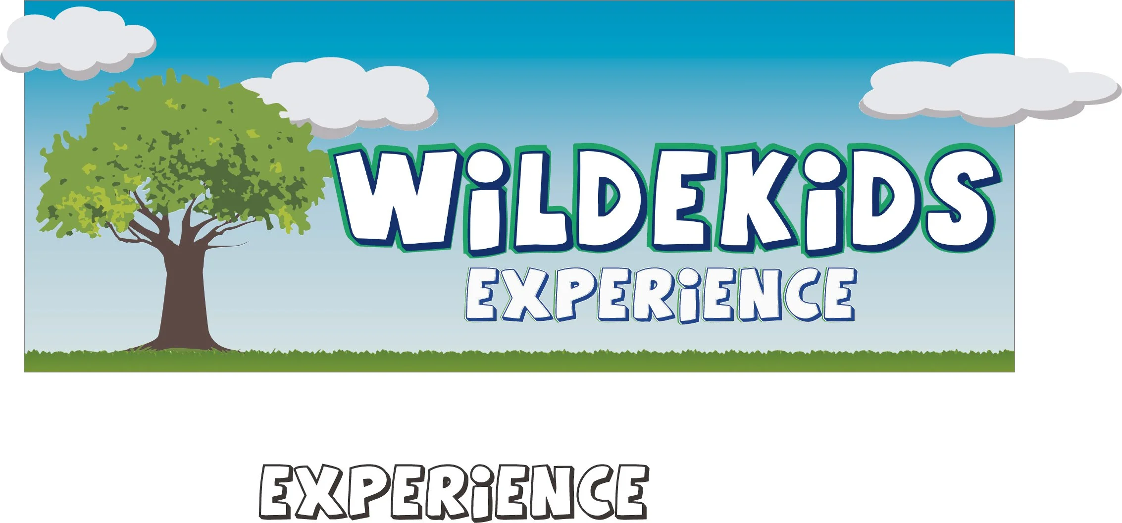WildeKids experience Logo 2.jpg