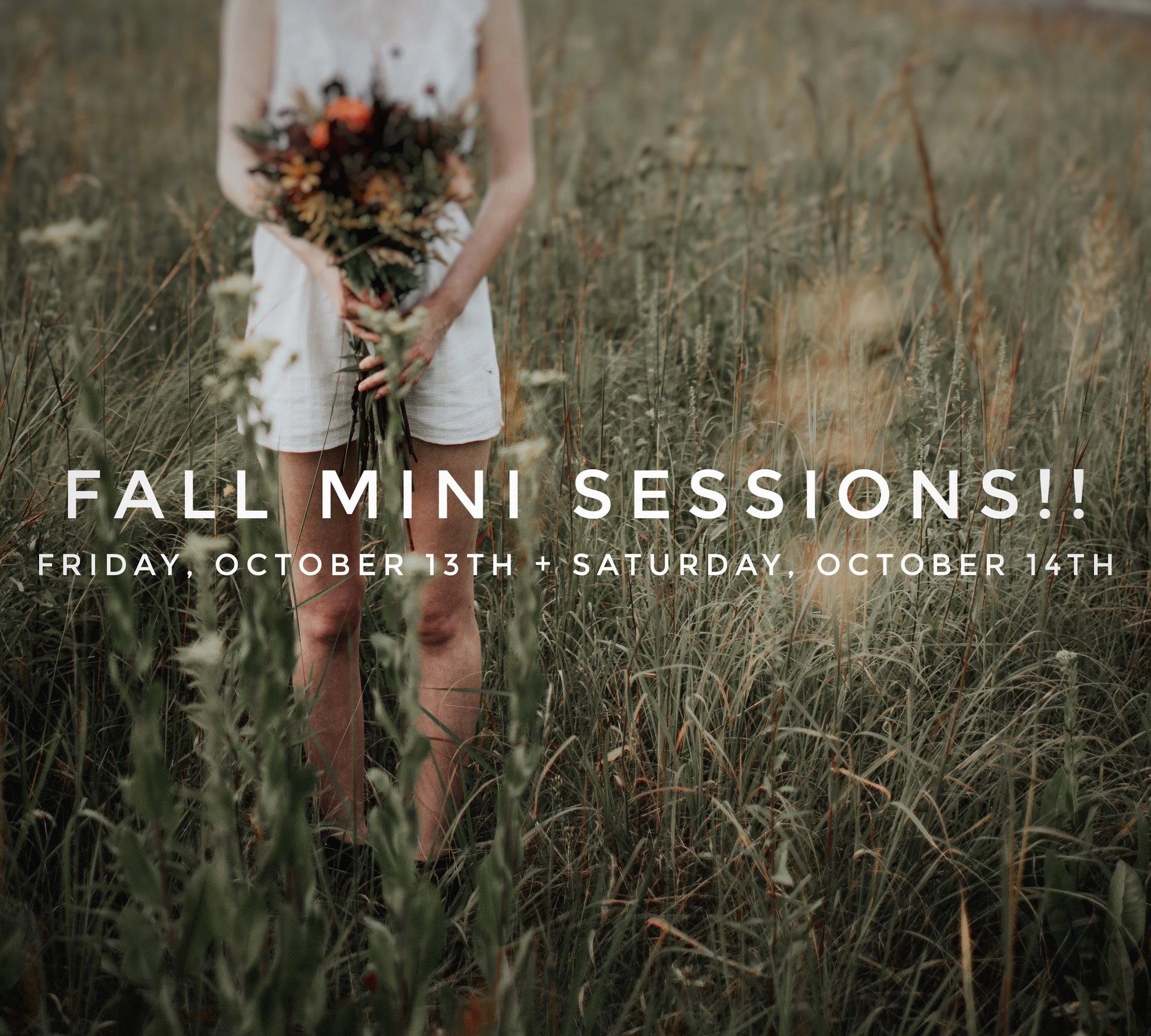 Fall Mini Sessions!!