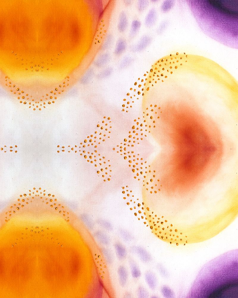 C1D69FC3-05FF-4BAC-A476-6C5ACC8554B6