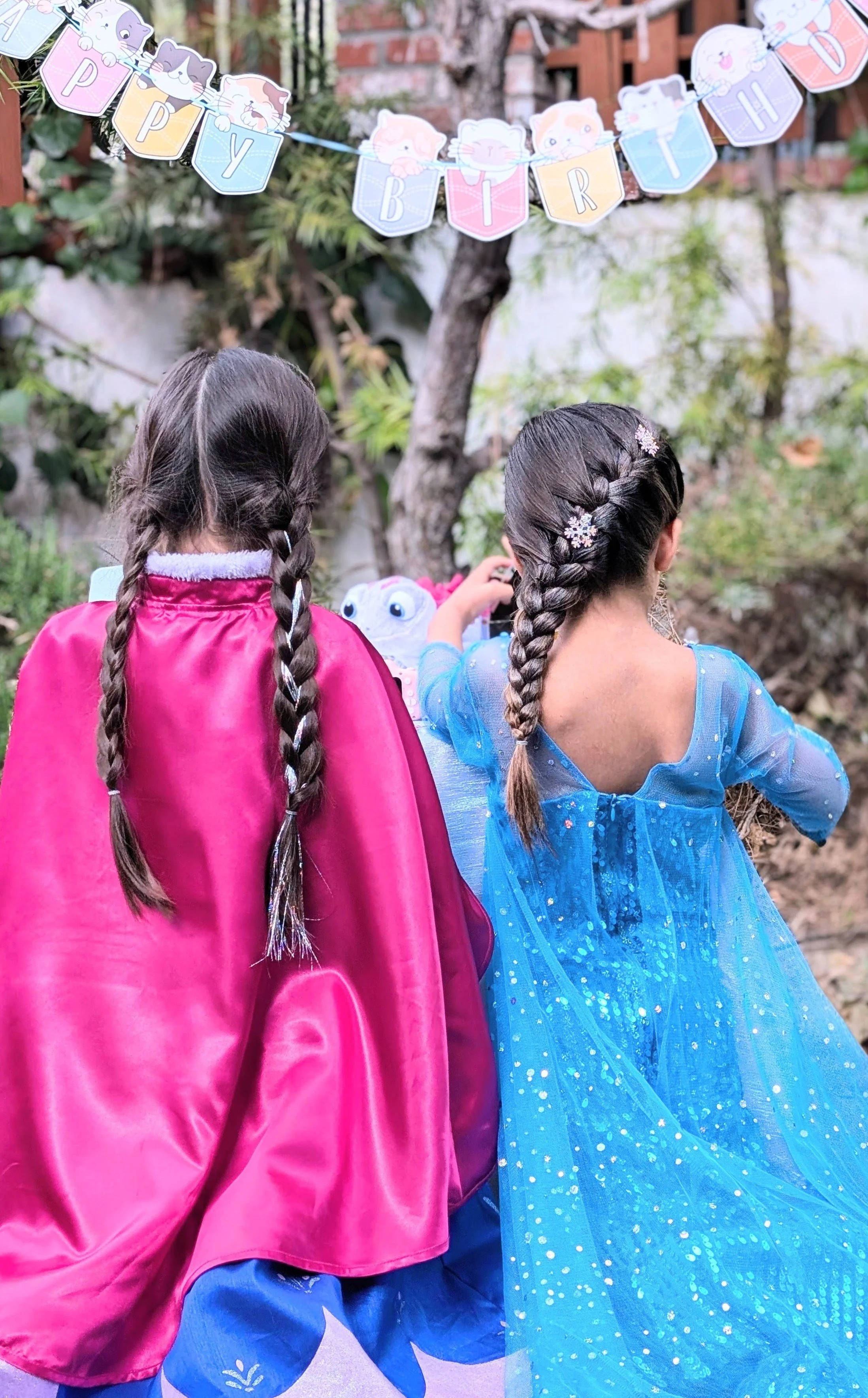 Anna &amp; Elsa hair