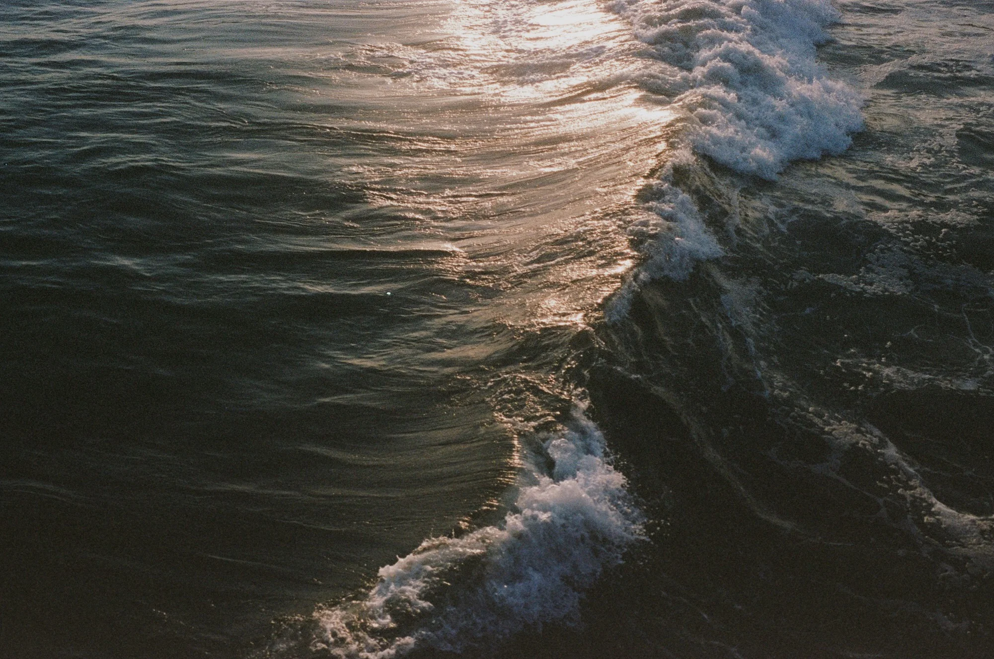 A181EFBB-E8C6-4451-850A-BB25B08D760B.jpeg