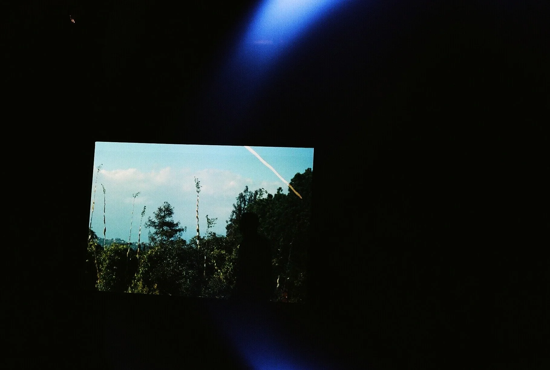 11460025.jpg
