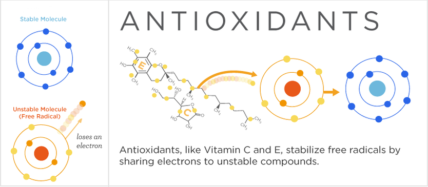 2015-07-01-nine-essential-antioxidants-for-better-health-inline-1.png