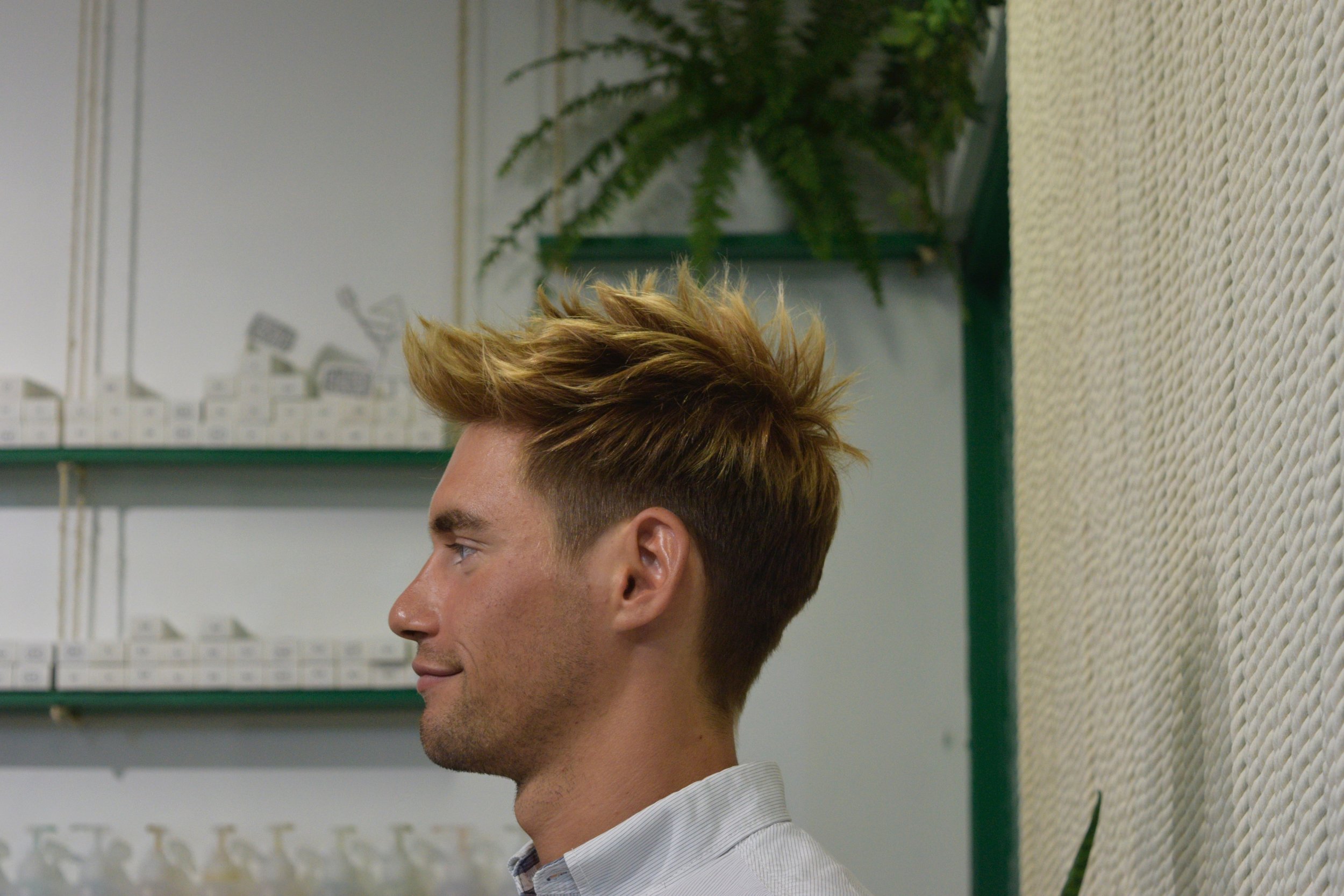 Low/High lights - two colors applied to create texture and movement into the style.