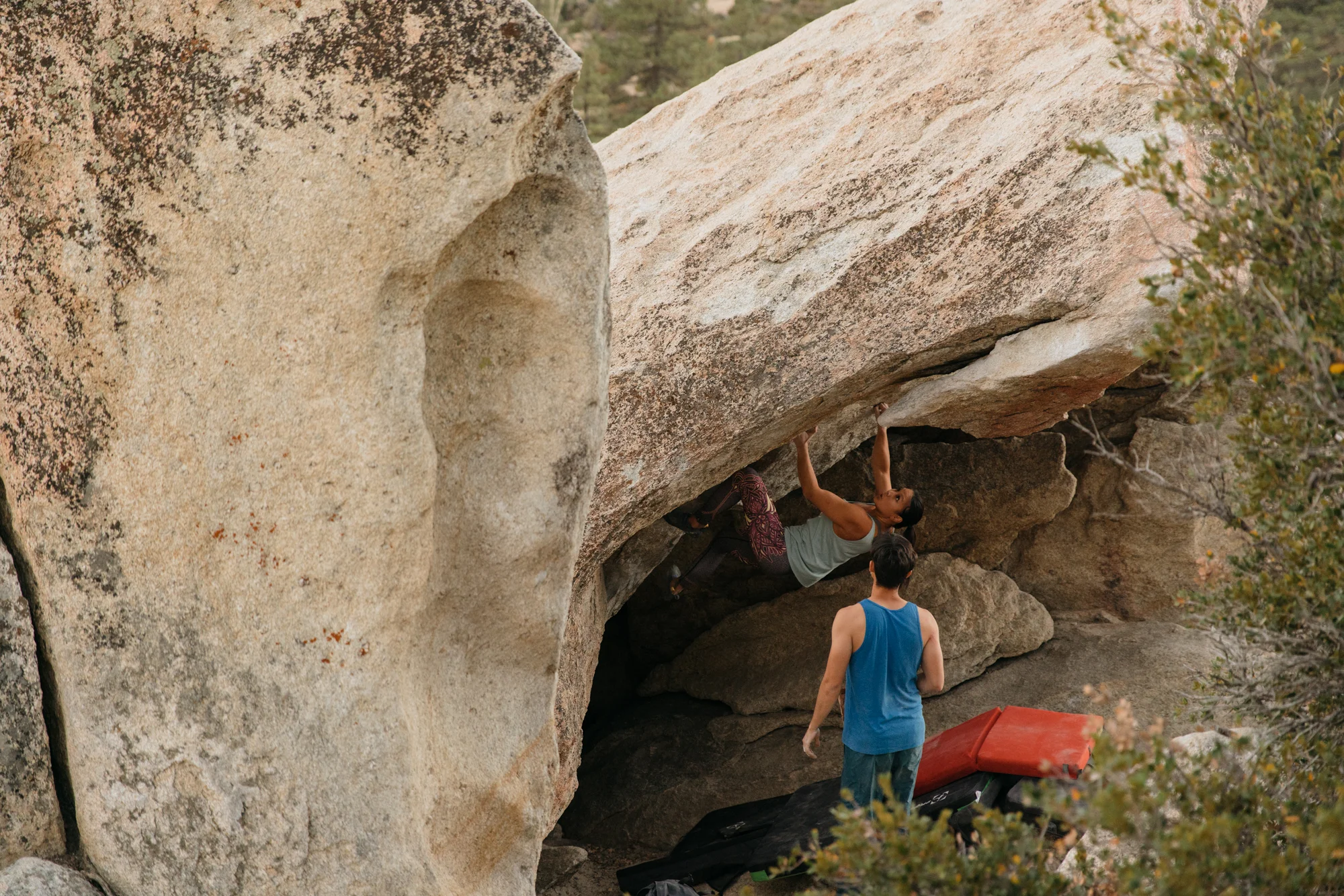 Horse Flats_AV_47.jpg