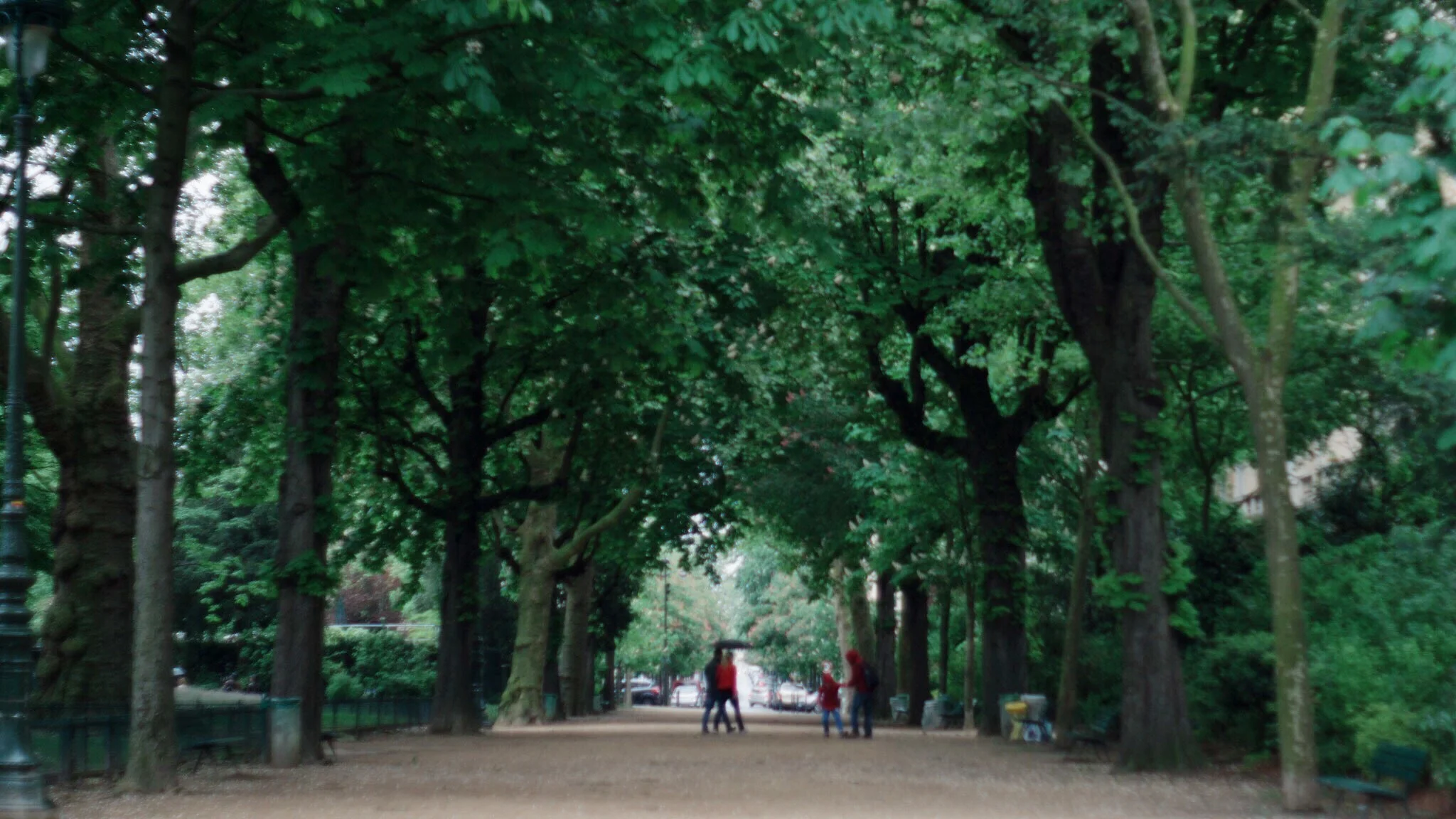 DICC9728.jpg