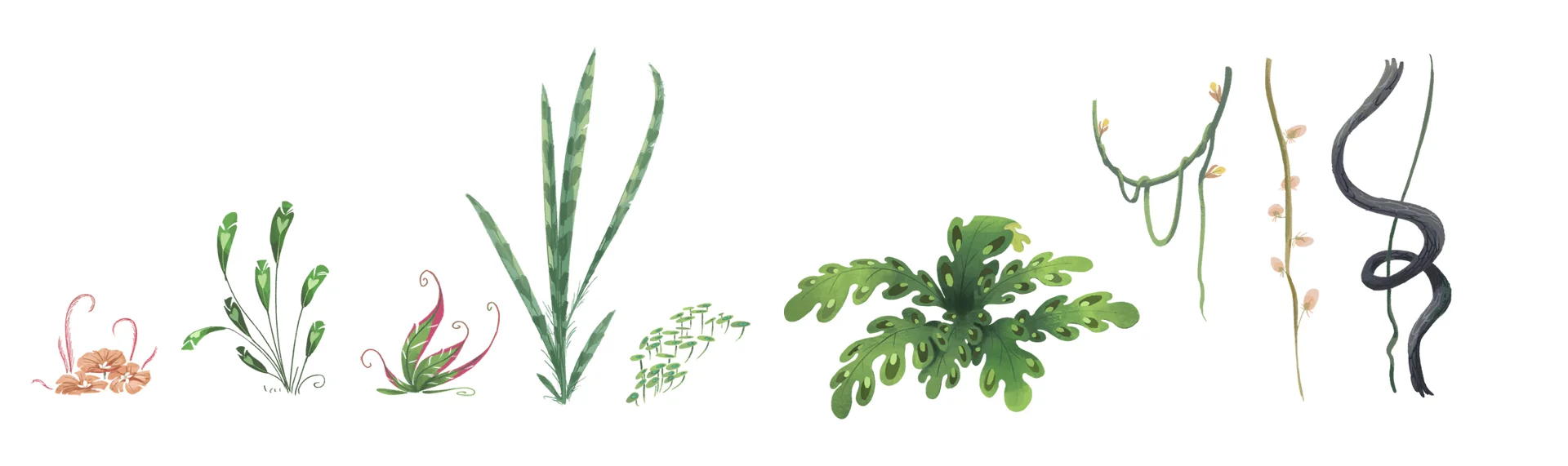 Bird Island Plant Designs