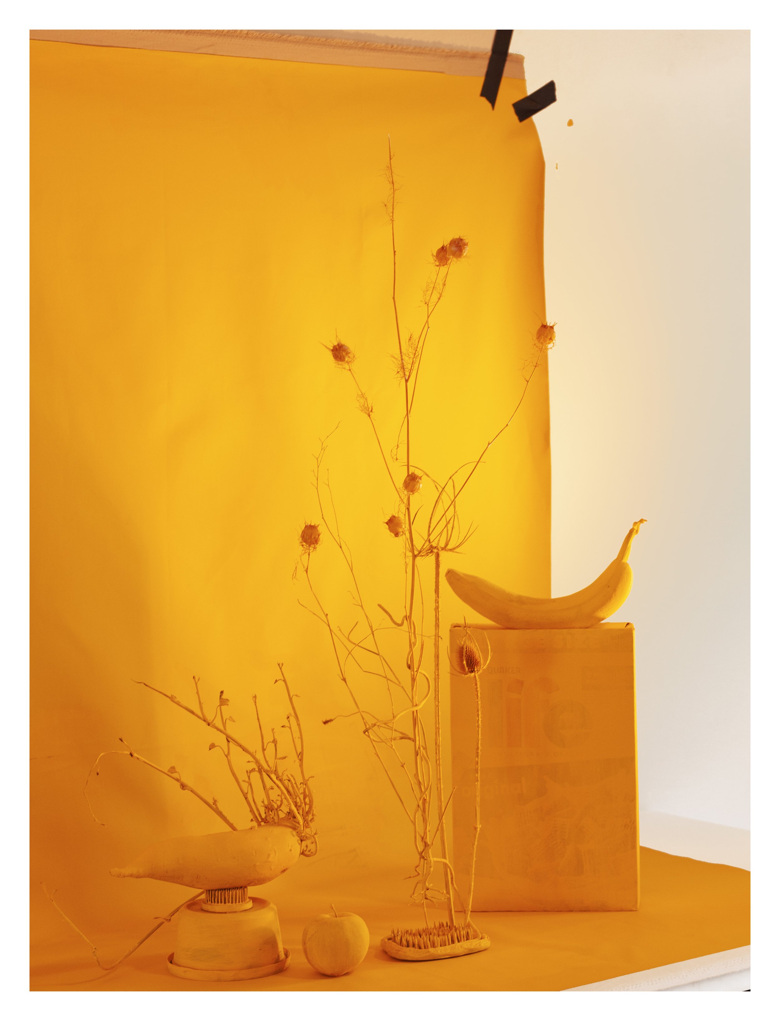 Object.in.yellow copy.jpg