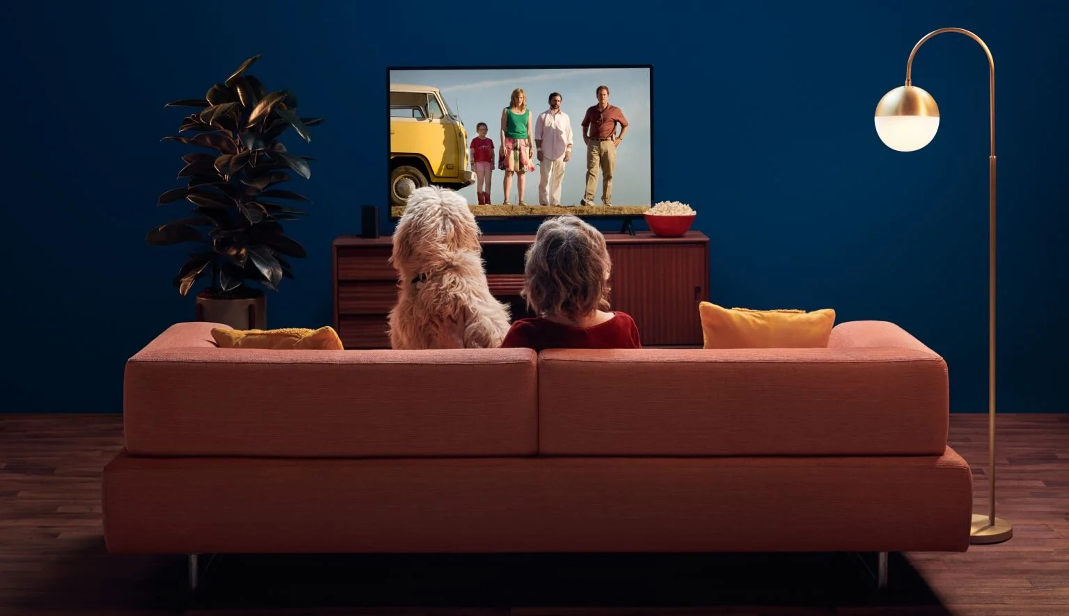 16533_000ebs_small_family_tv_side_01_125-2.jpg
