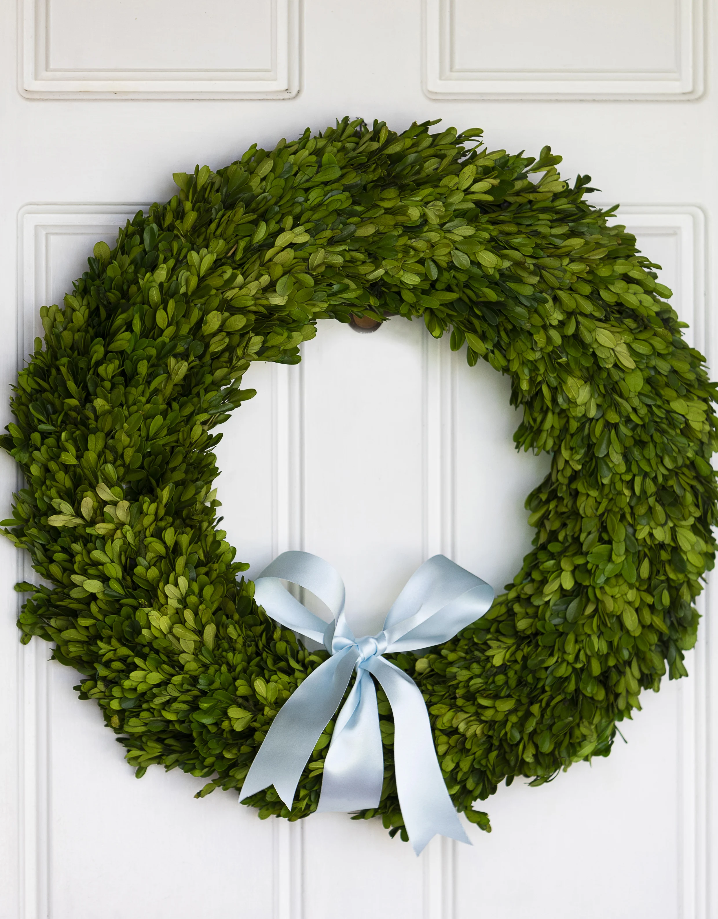 Mayflower House_Magical Christmas_6.jpg