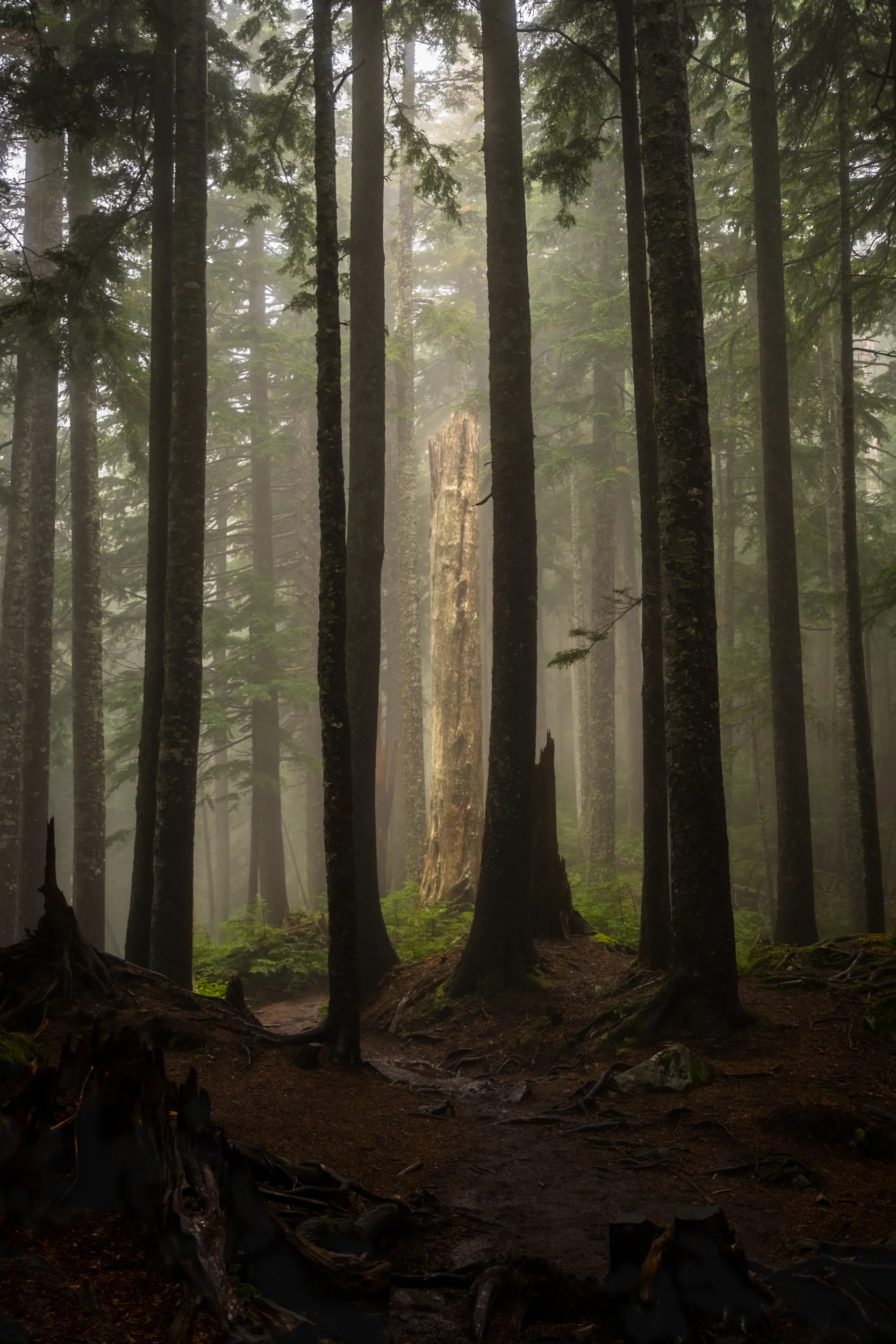DSC03160-HDR.jpg