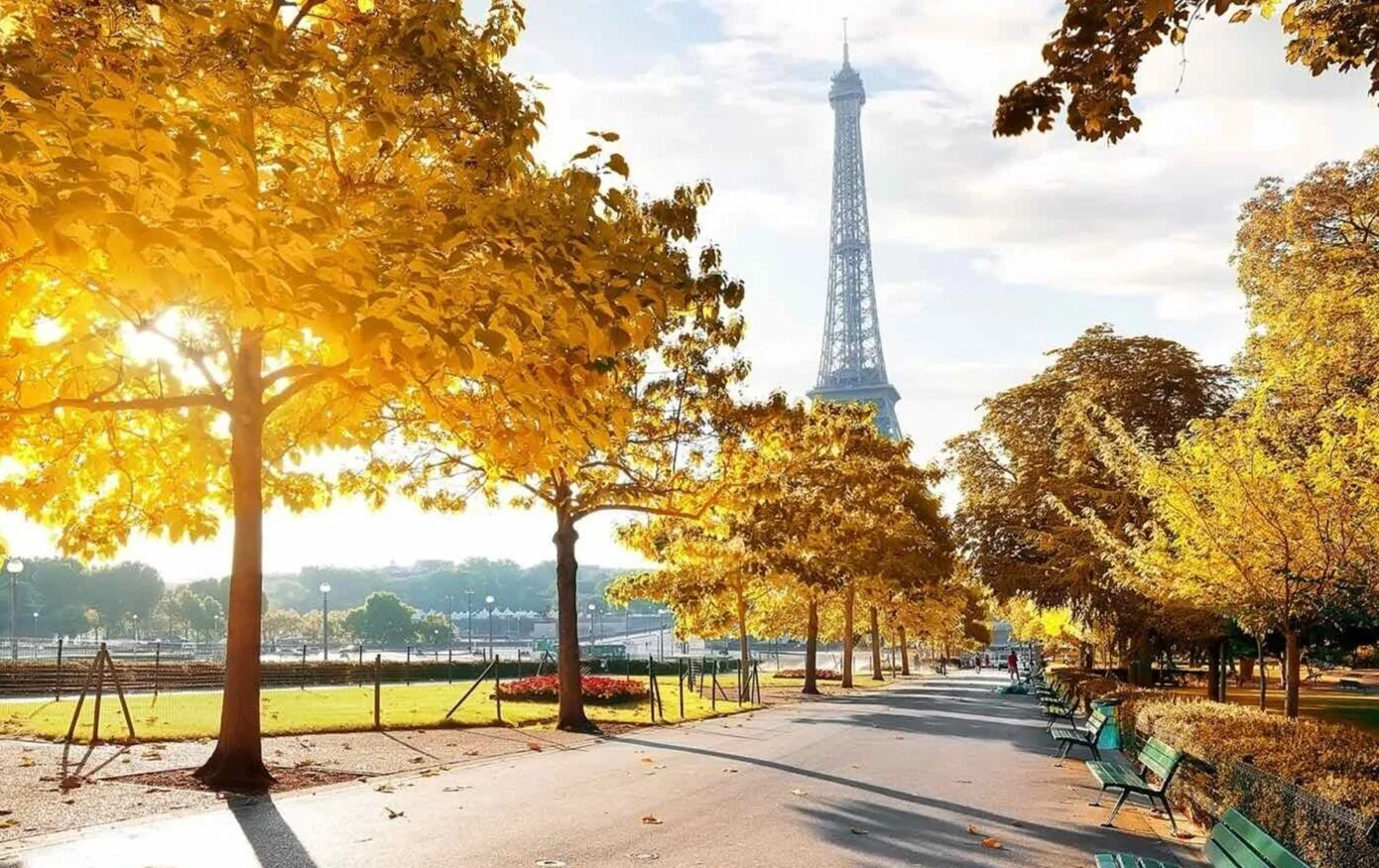 Oui Oui Paris Gratitude Mindset Retreat The Curly Executive