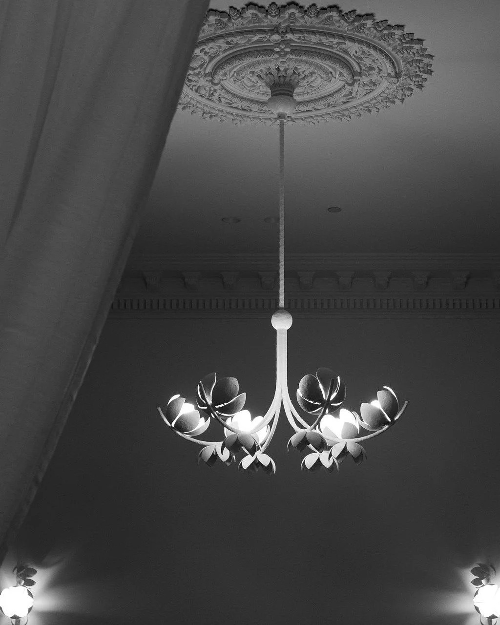 The details! @phenomena_photography