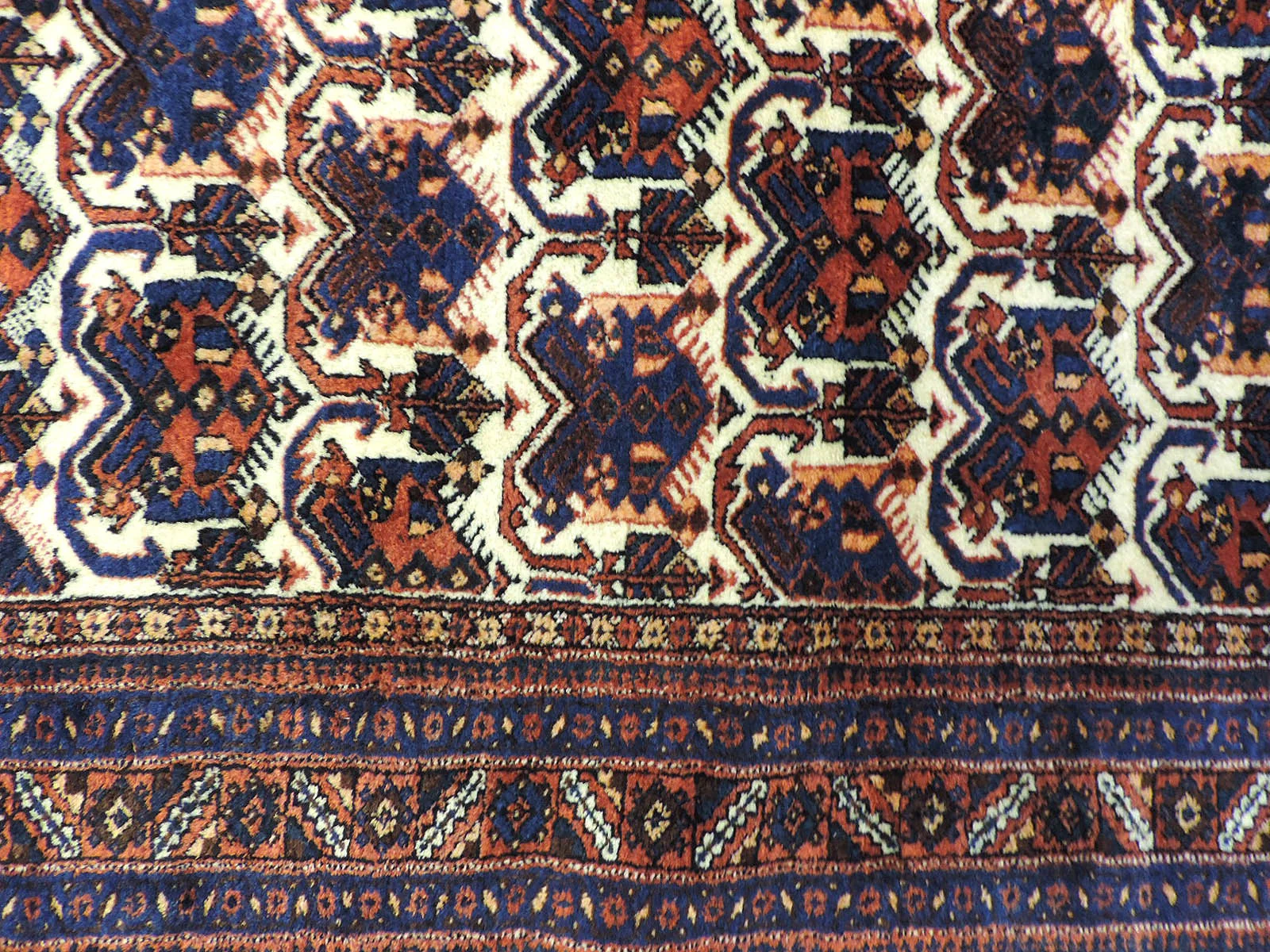 1560g.JPG