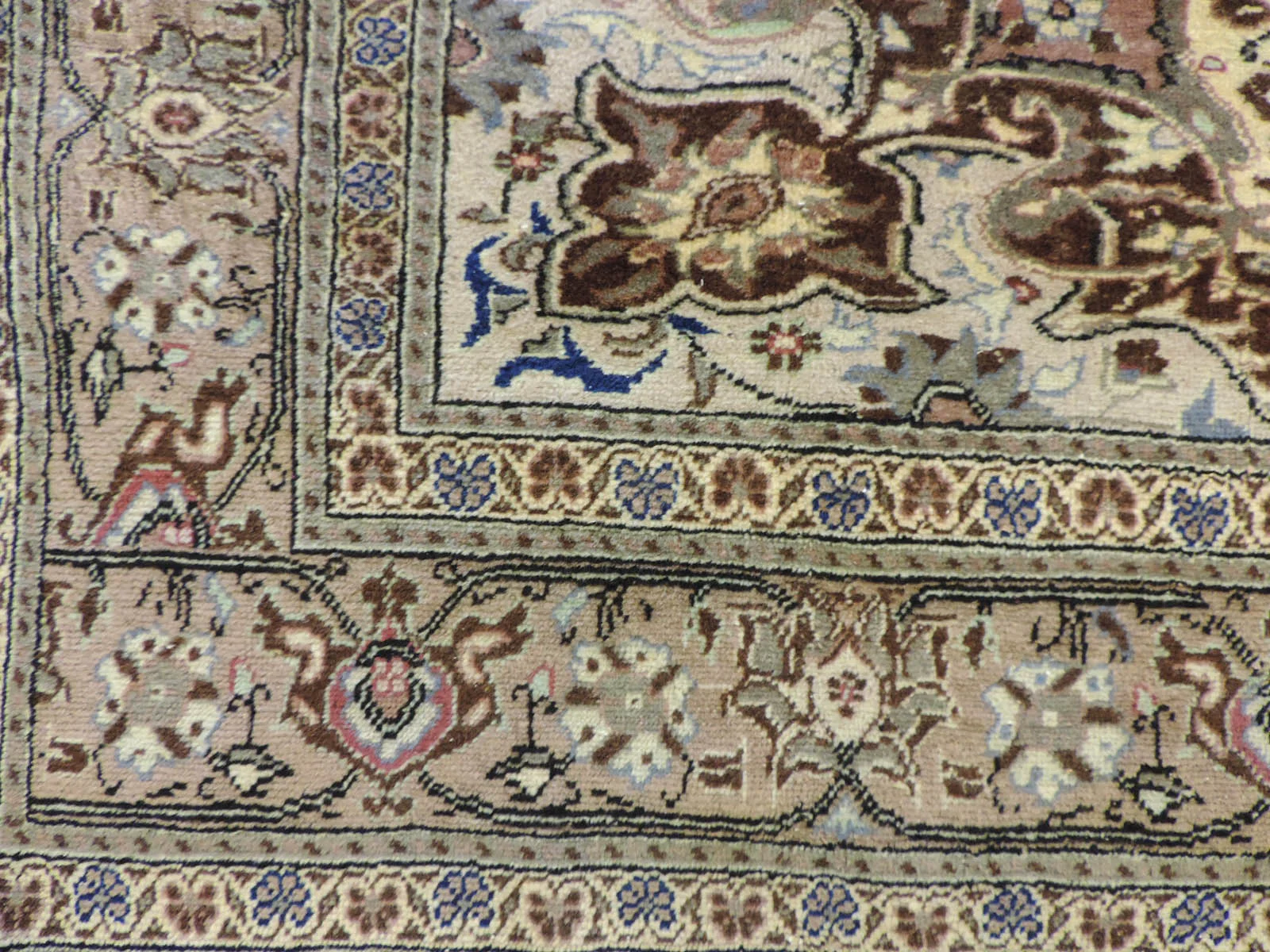 1620d.JPG