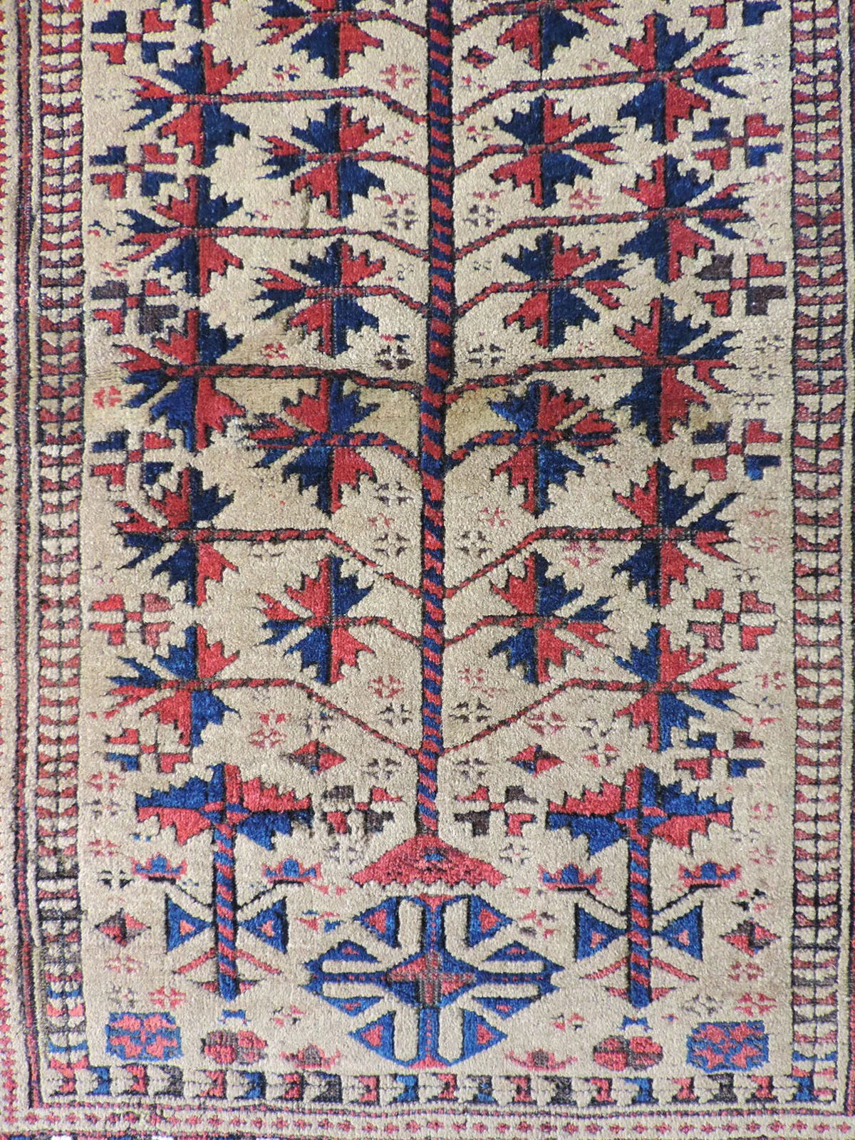 1357d.JPG