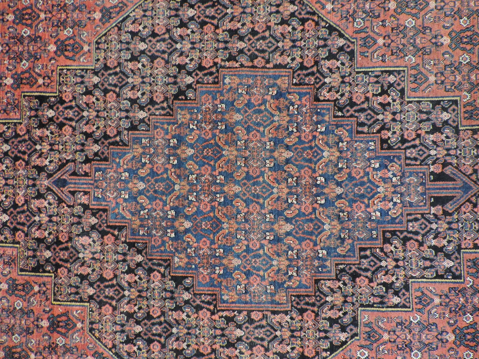 DSCN0321.JPG