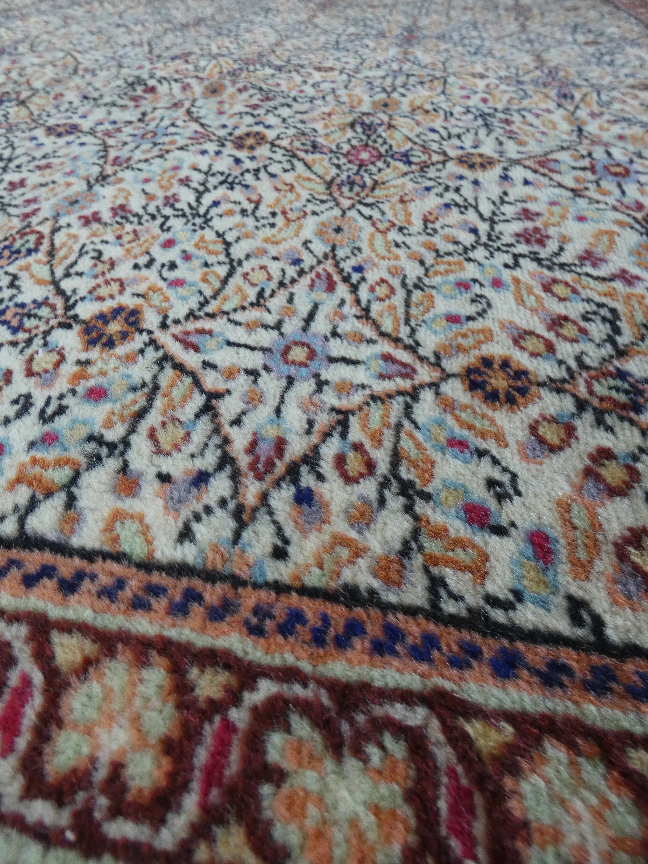 P1010029.JPG