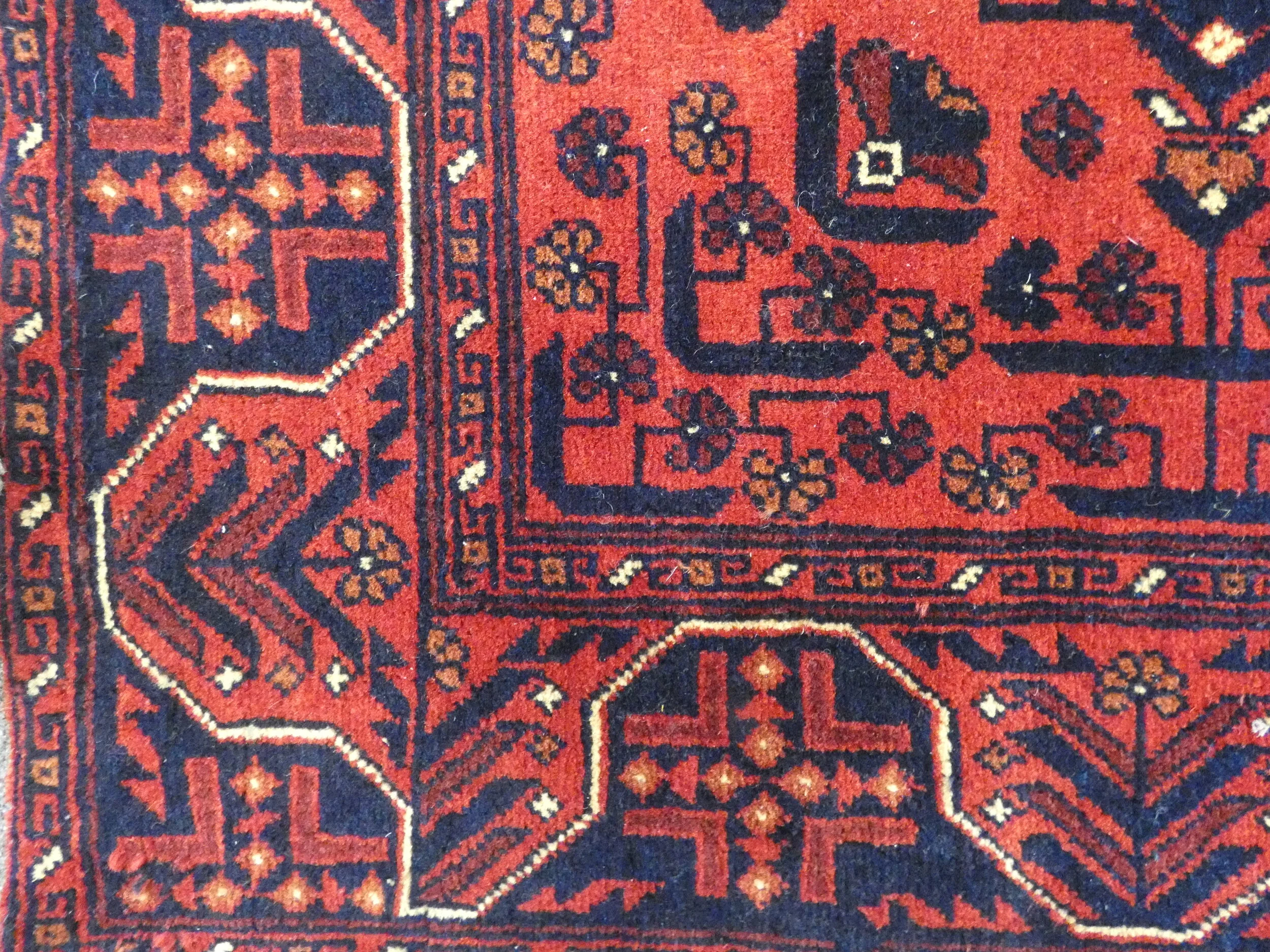 2153 (7).JPG