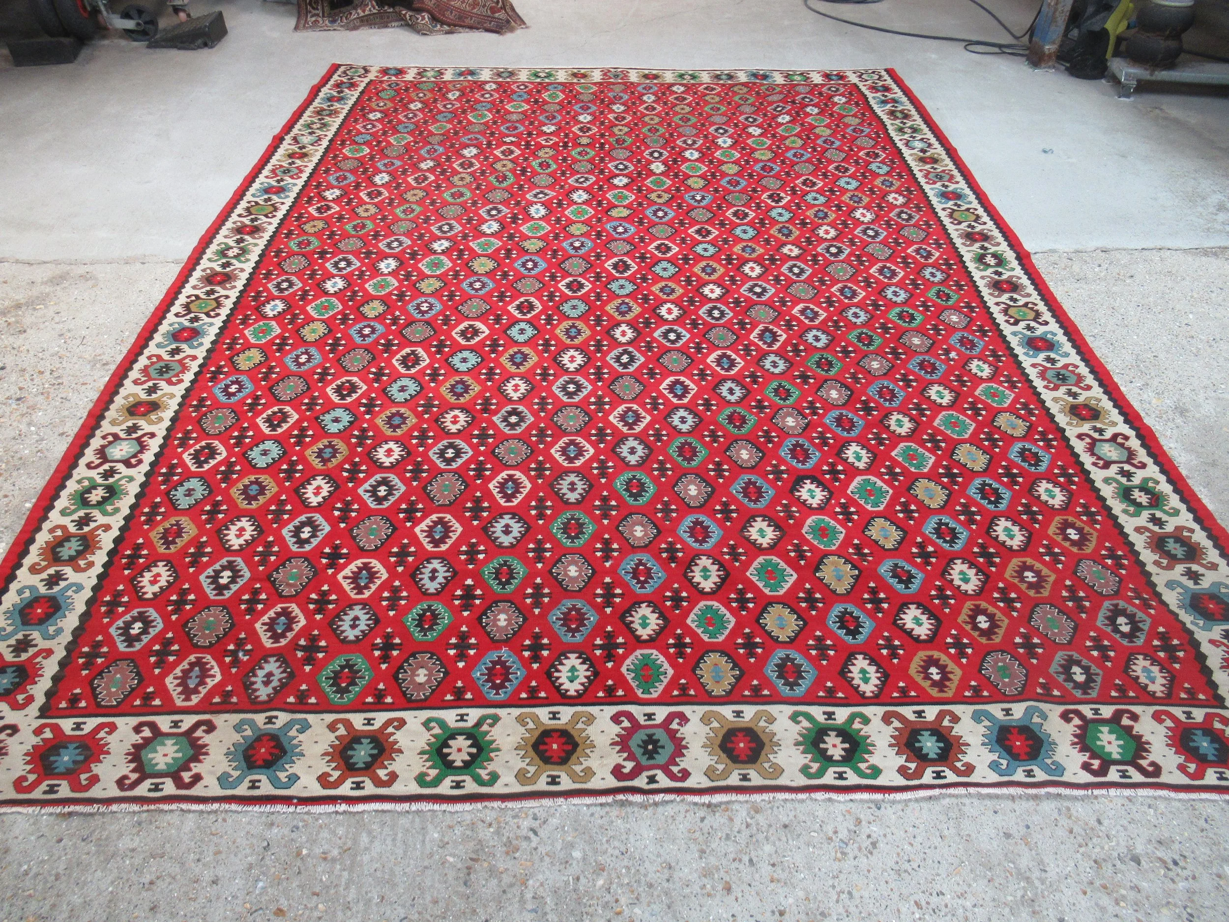 2861 Sharkoy01    345X257.JPG