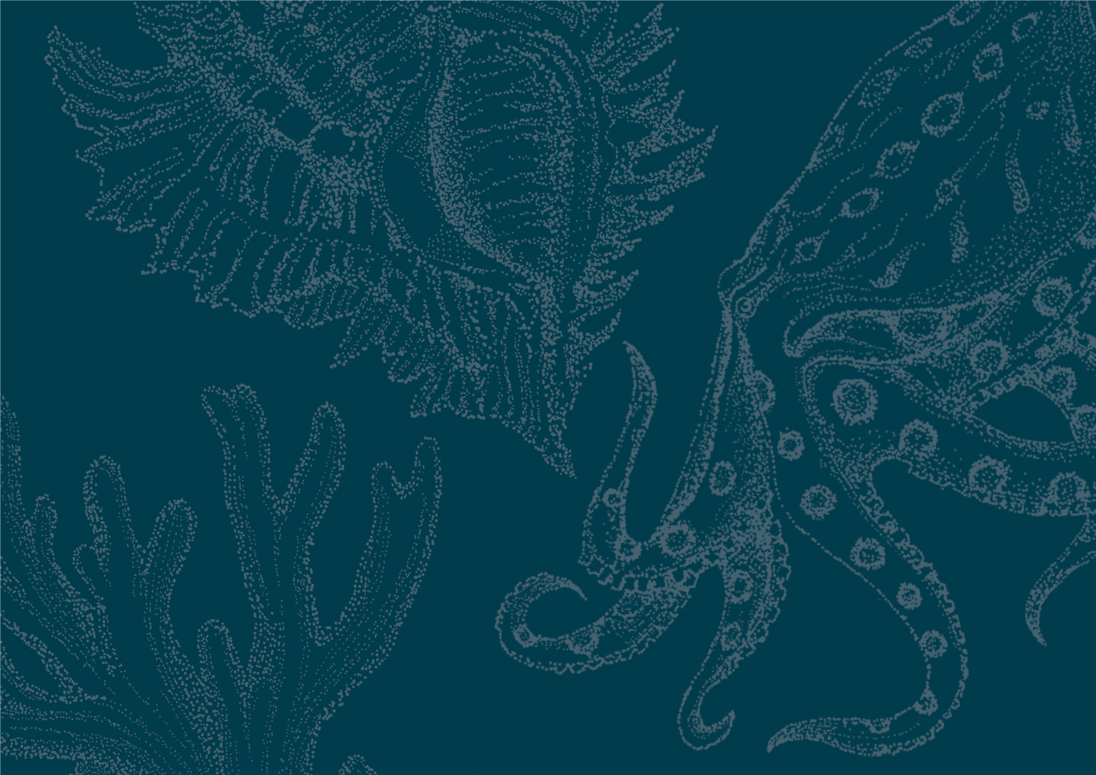 froggies-banner3.jpg