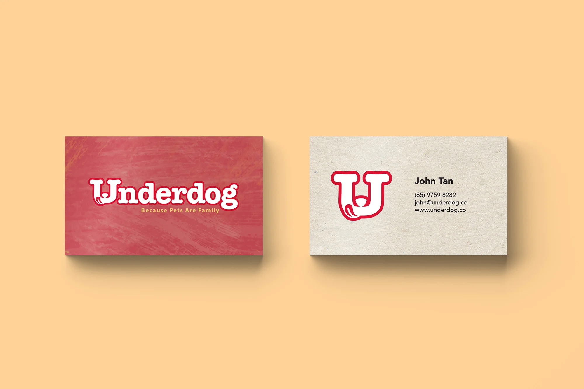 underdog namecard mockup.jpg