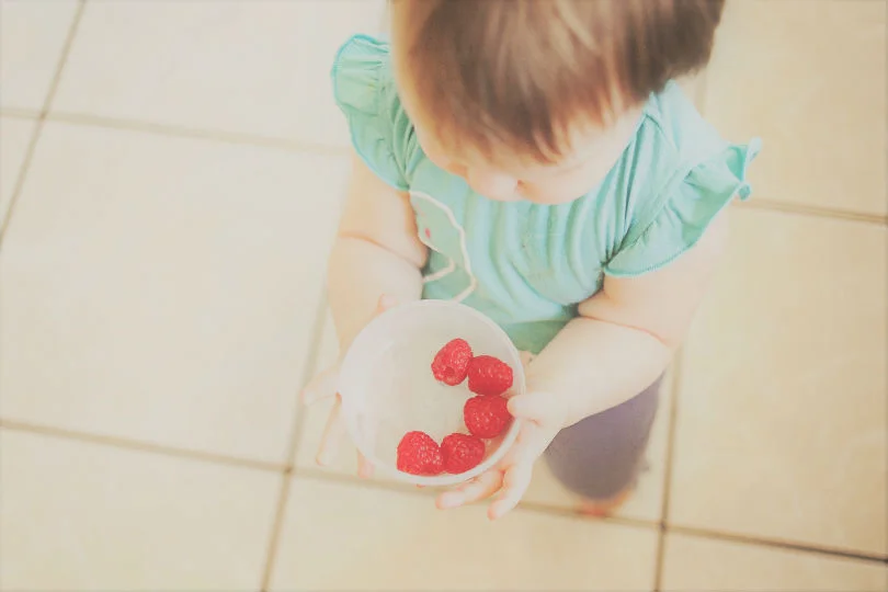 Brain Development - 9 to 12 months old