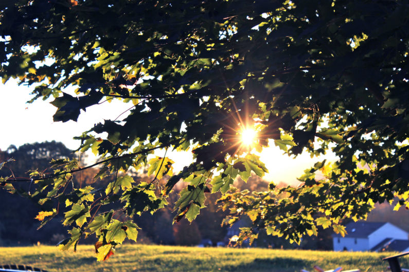 Photo by Juliandra Durkin on Unsplash