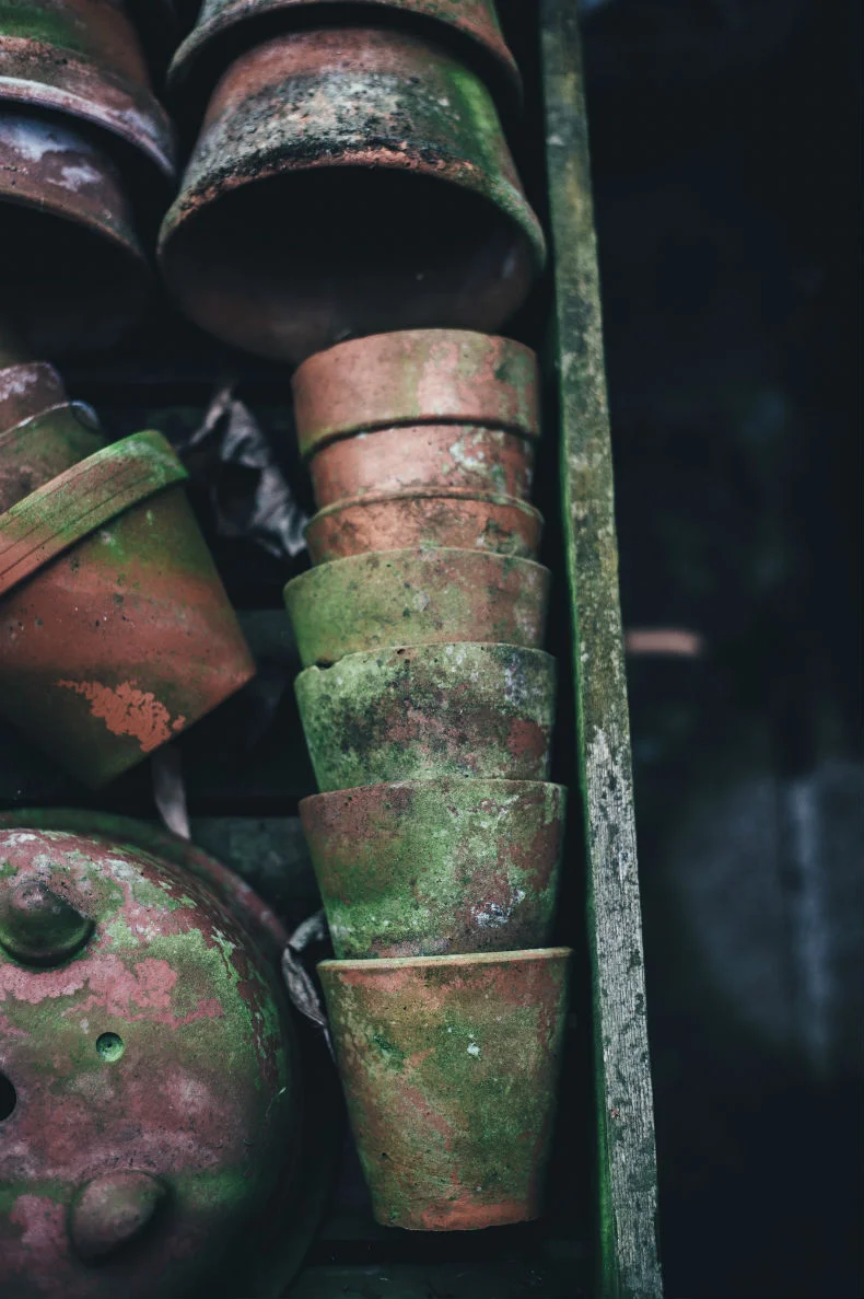 Photo by Annie Spratt on Unsplash
