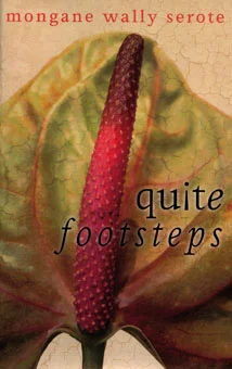 Quite Footsteps / Mongane Wally Serote