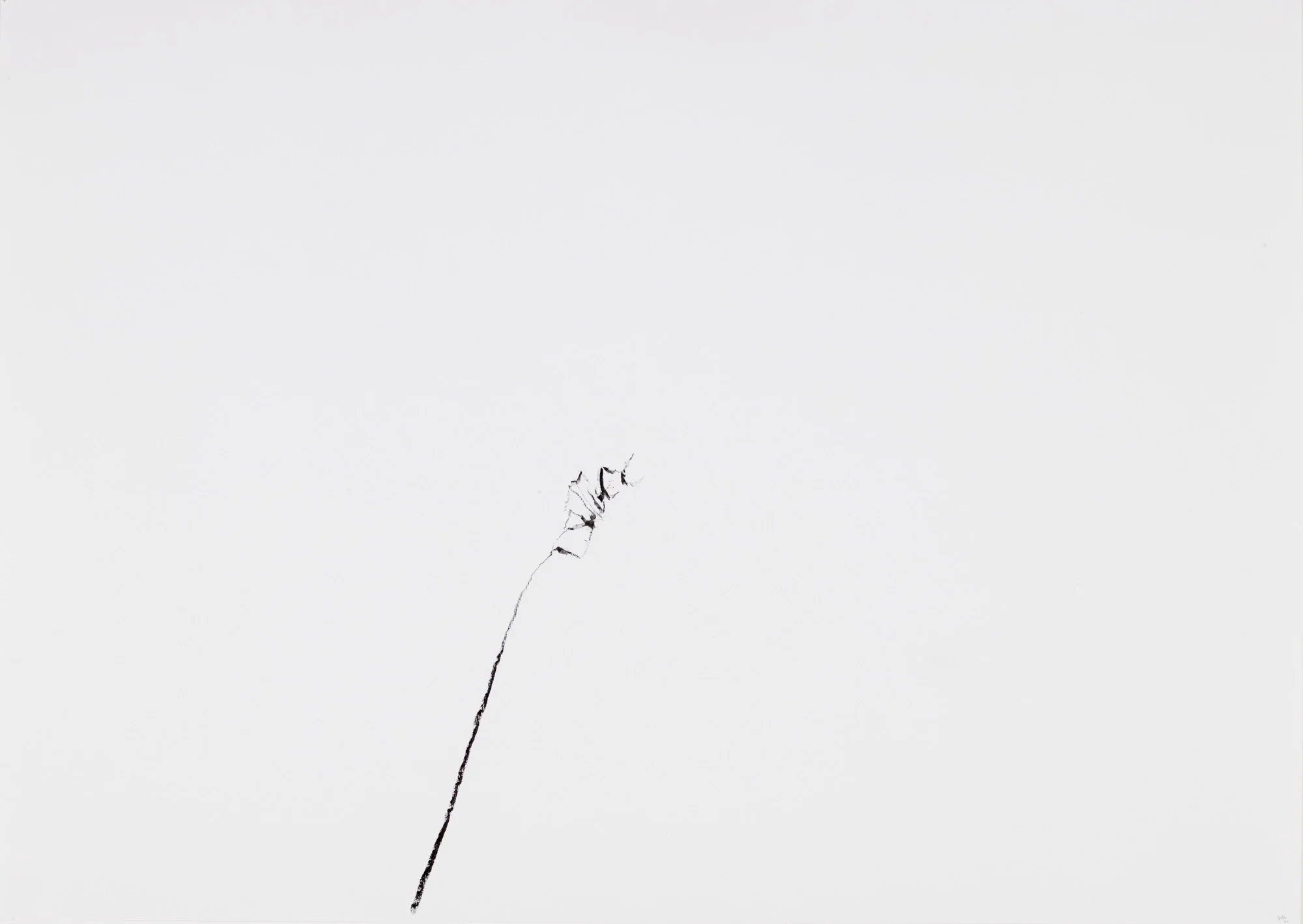 Untitled, 2004