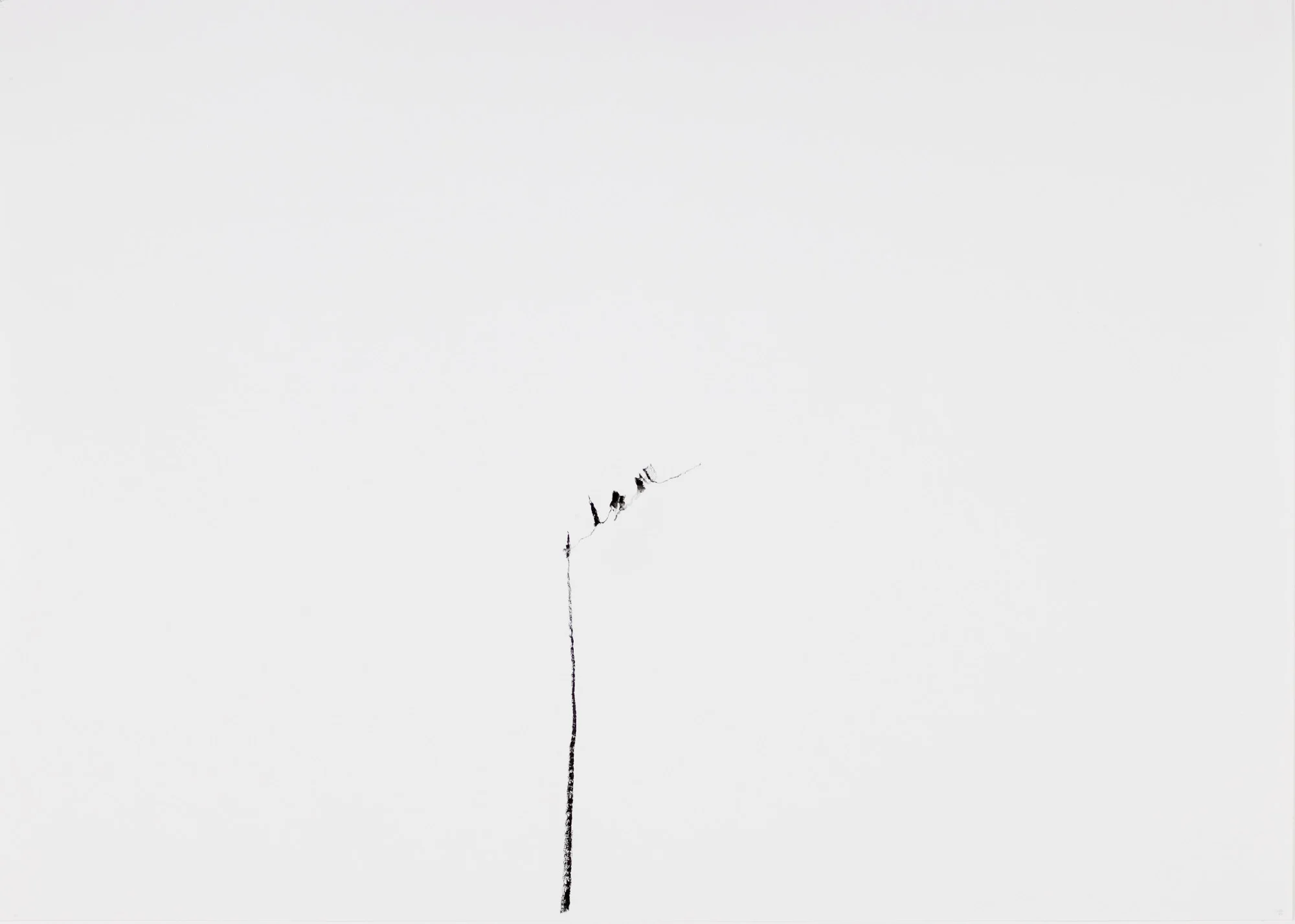 Untitled, 2003