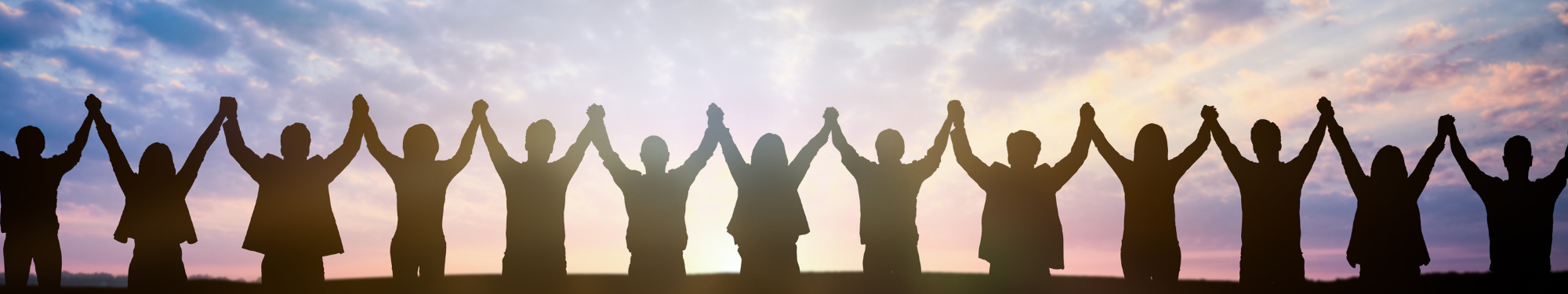 Copy of Copy of sopnality - 2026-02-17T161909.253.png