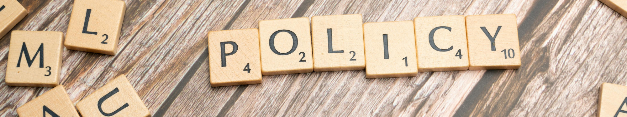 Copy of Copy of sopnality - 2026-02-17T161736.605.png