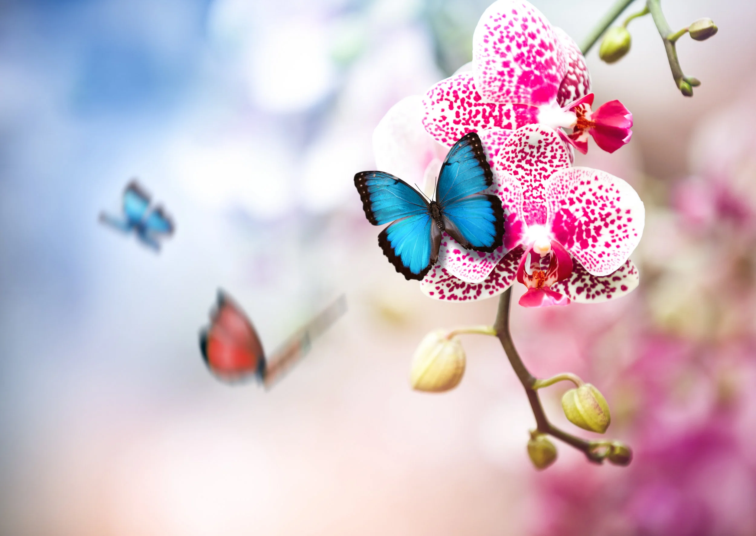 iStock-506860618.jpg
