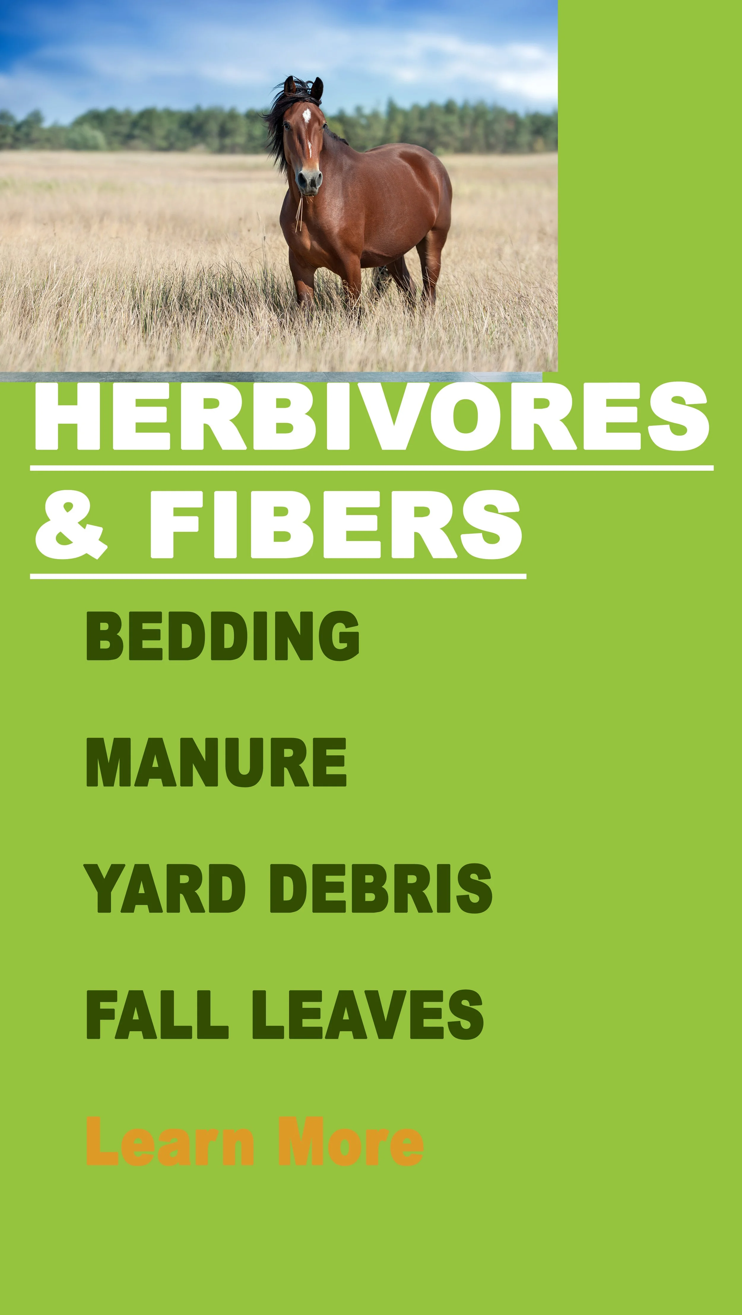 Herbivore Banner.jpg