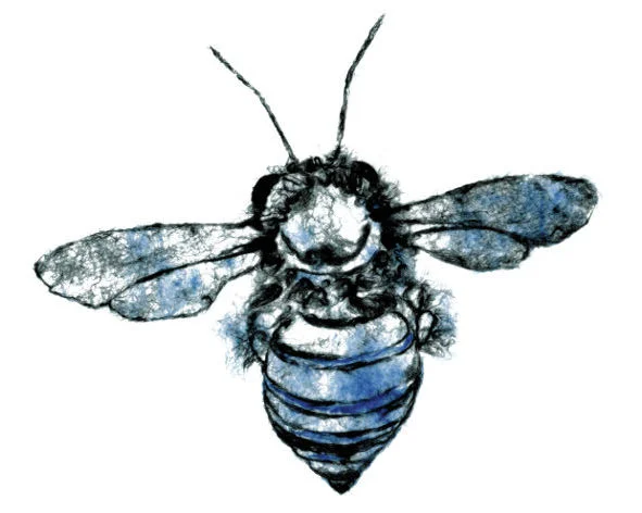blue b bee.jpeg