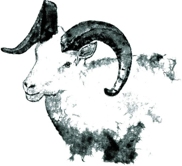 Goat171223hdg.jpeg