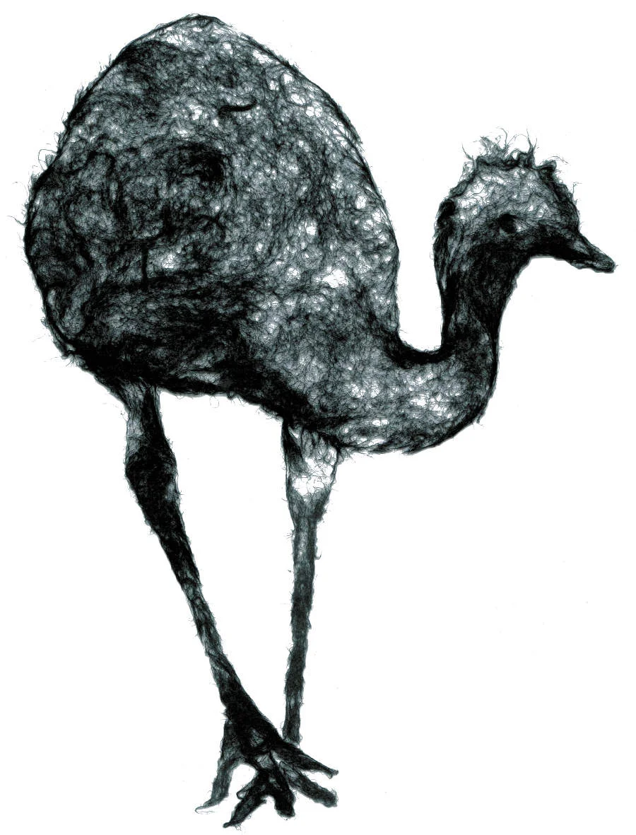 emu022018.jpeg