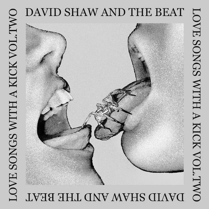 DSTB-VOL2 - website.jpeg