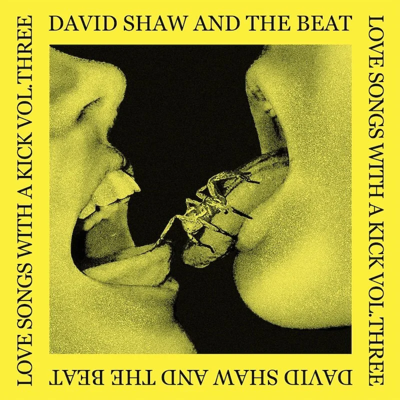 DSTB-VOL3 - website.jpeg