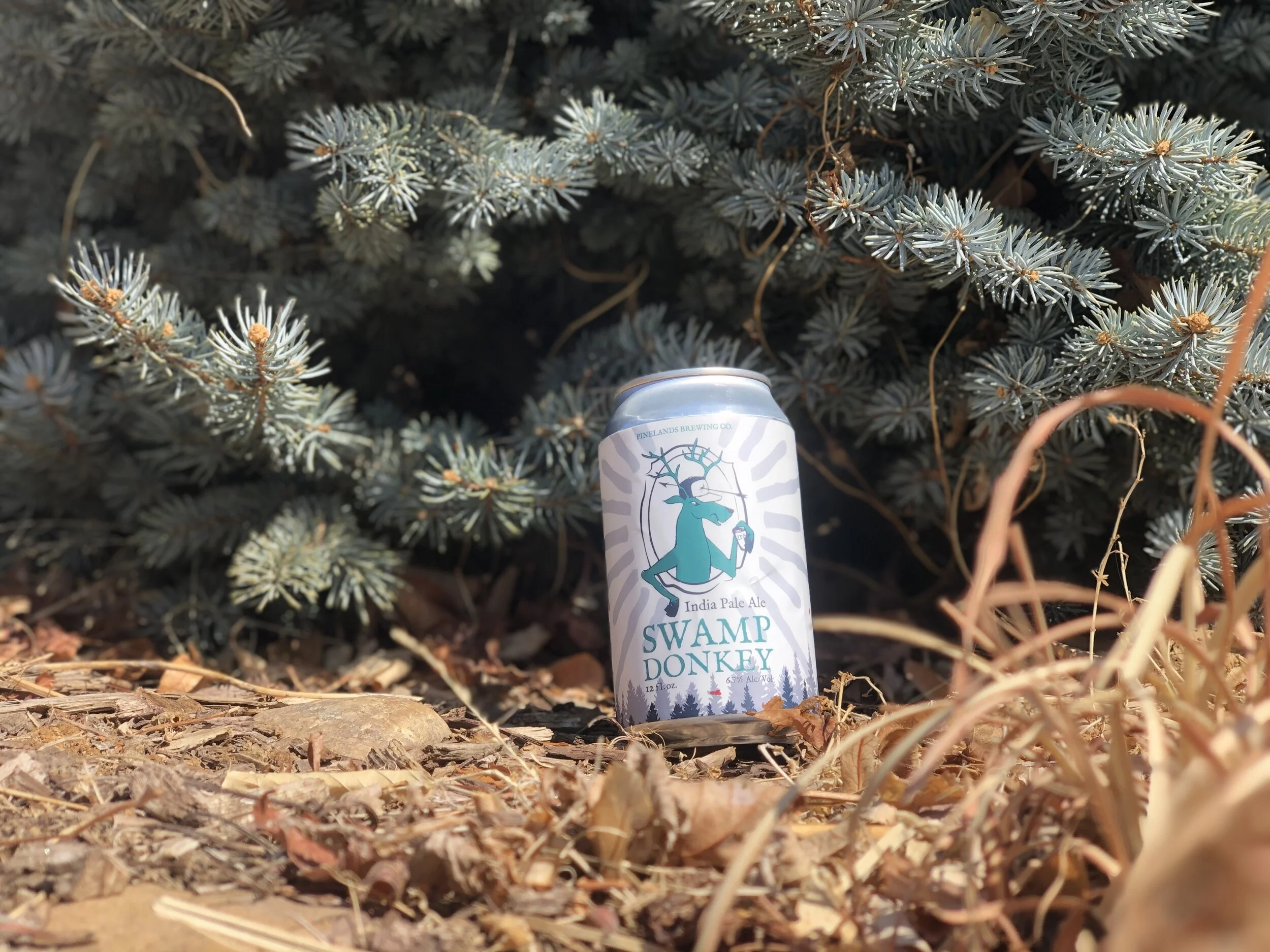Jewels Two Point Oh // Pinelands Brewing Company // Episode 57