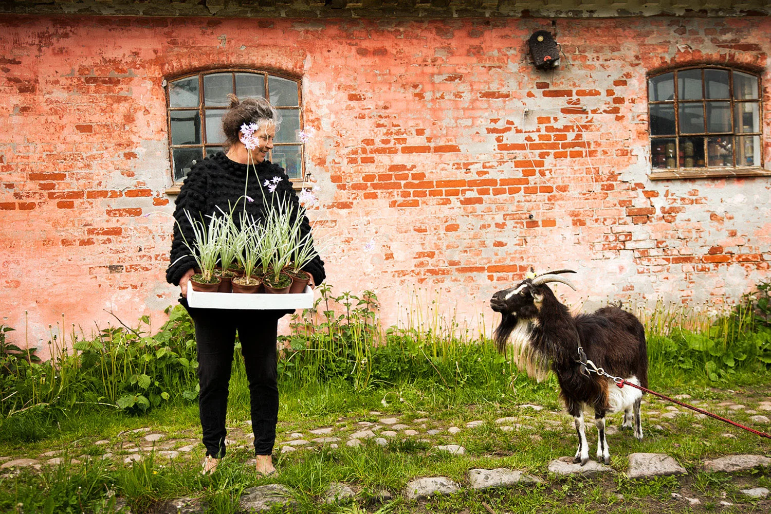 CamillaPlum_1500x1000px©FotoBenteJæger.jpg