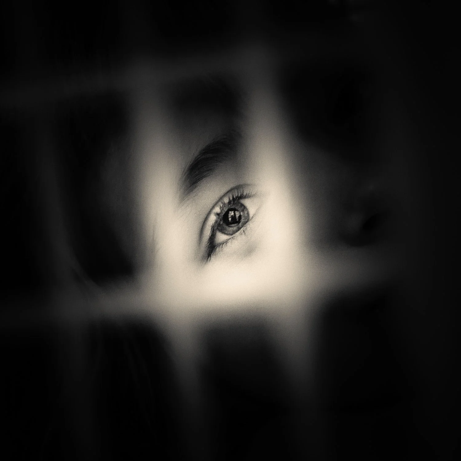 1500x1500_Lonely_Eye©FotoBenteJæger.jpg